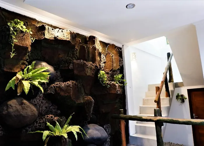 Kori Garden House Hostal *